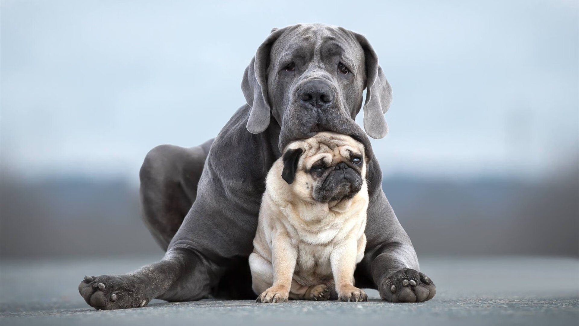 华体会-国际足球文化交流日益频繁，促进多元文化融合，足球文化氛围