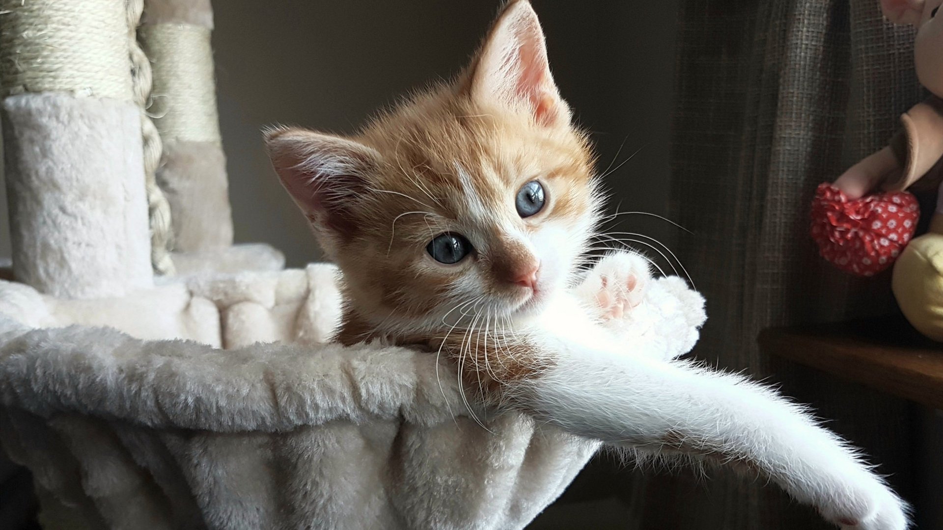 奇库诺娃用沉稳节奏掌控比赛节奏,库布奇诺