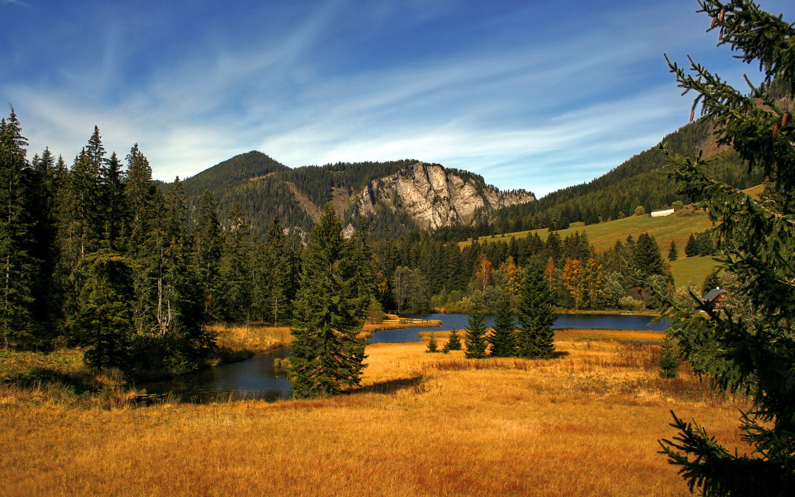 斯洛伐克男篮在欧洲大赛中奋勇争夺,勇追更高荣誉,斯洛伐克篮球国家队