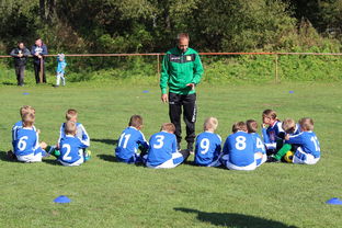 华体会app注册-欧洲杯逆转奇迹：战术配合与个人能力的完美呈现，欧洲杯逆天进球