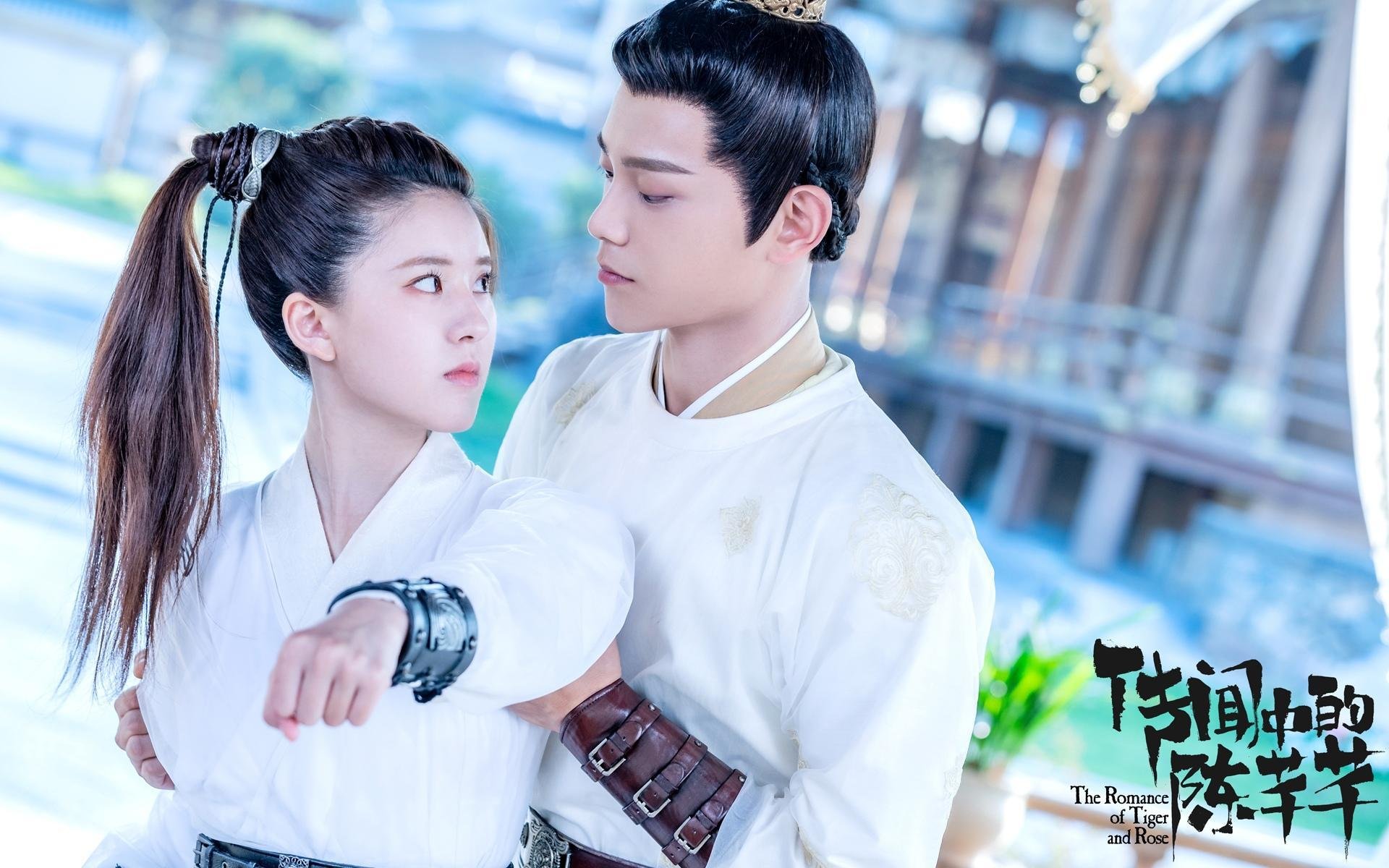 爱尔兰男子橄榄球在国际舞台稳步提升,爱尔兰式橄榄球