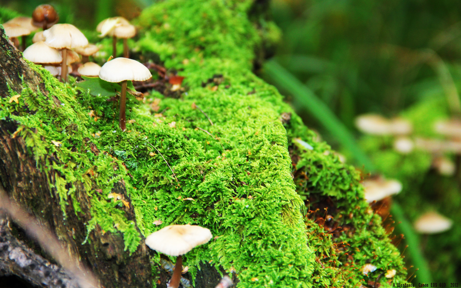 电竞选手训练营开设专项体能课程,电竞选手 训练