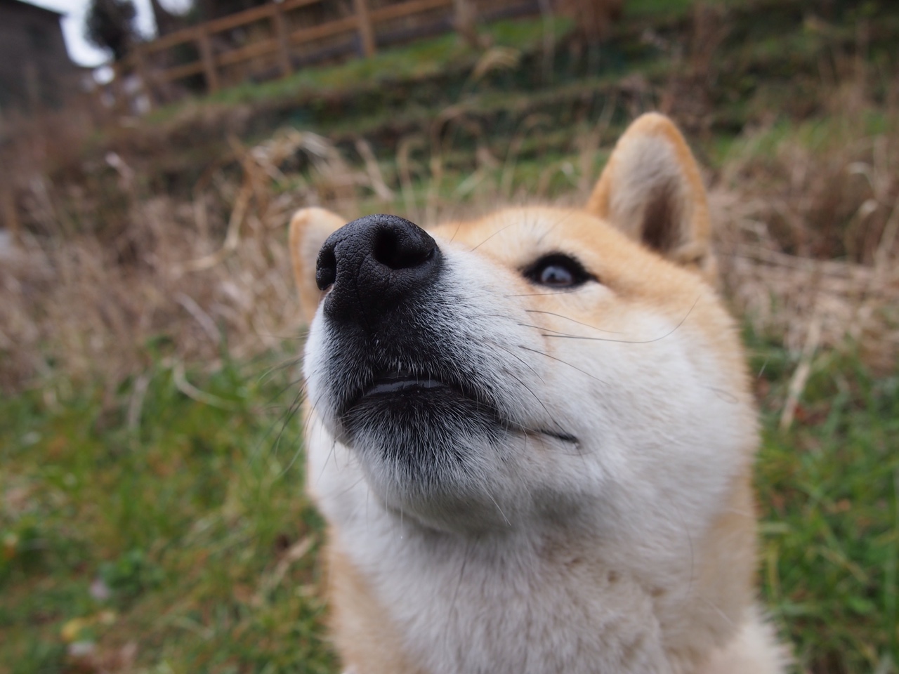 美洲杯激情持续:明星闪耀,精彩不断!,美洲杯经典比赛