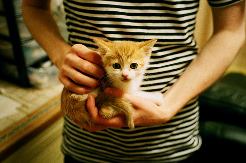 华体会app登入-职业联赛推动心理辅导常态化增强球员抗压能力