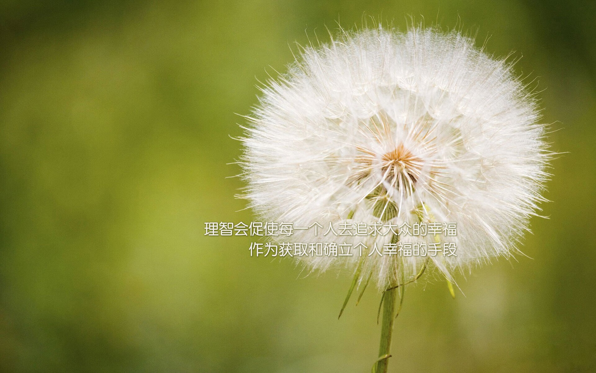 英超冠军激战:悬念不断,精彩绝伦!,英超 冠军