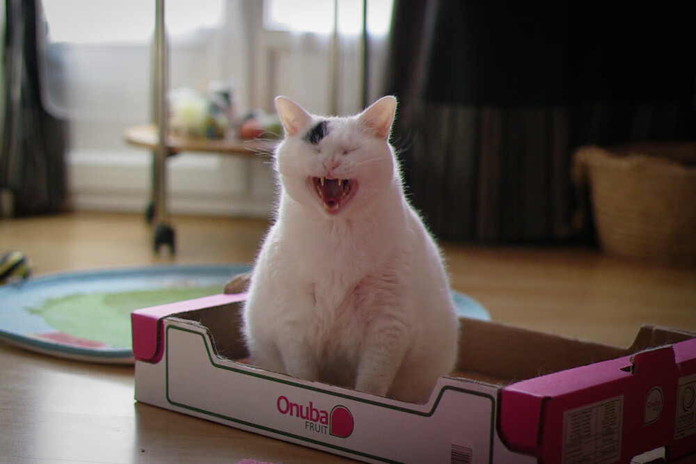 华体会在线登录-英超精彩瞬间集锦：人性化的竞技激发无限热情，英超精华集锦2021